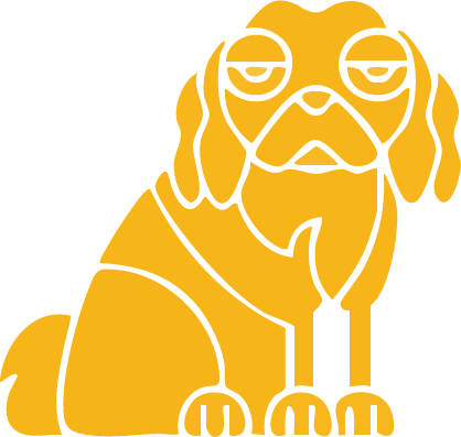 Logo Transparent